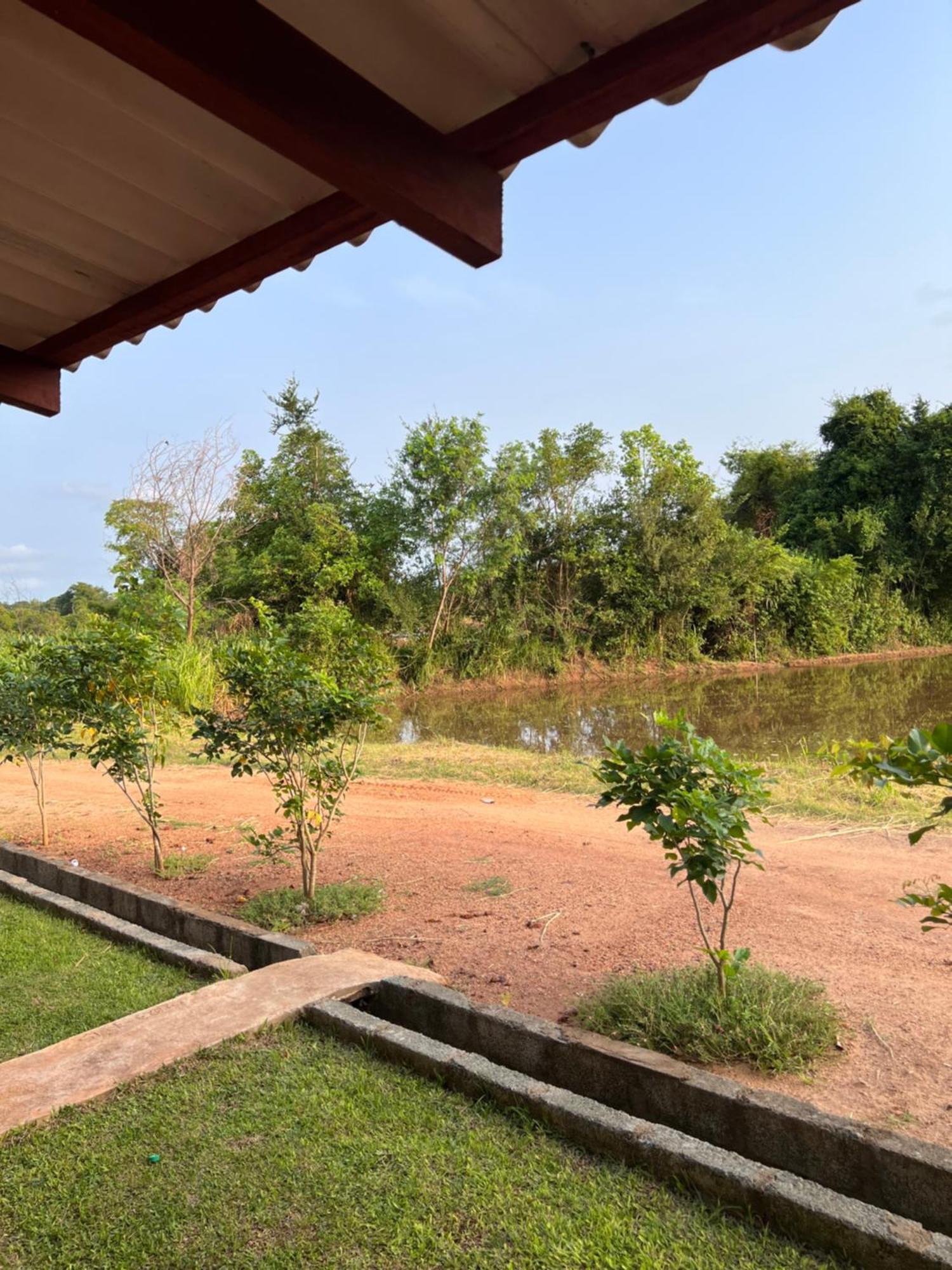 Kurumba Lodge ويلباتو المظهر الخارجي الصورة